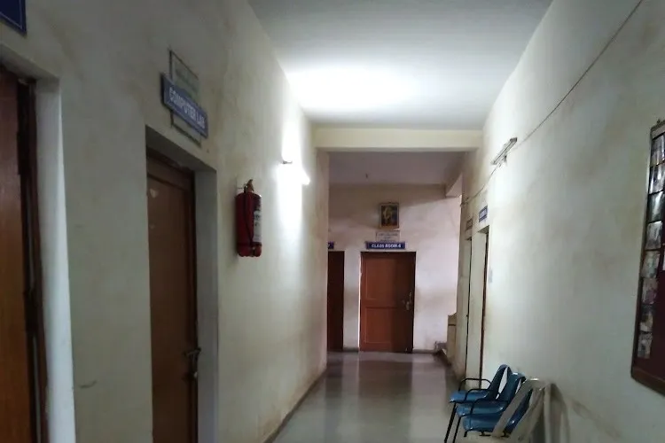 gallery 6