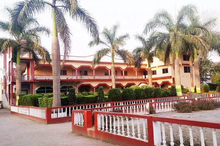 Gallery 4