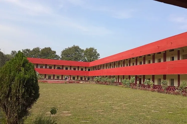 Gallery 5