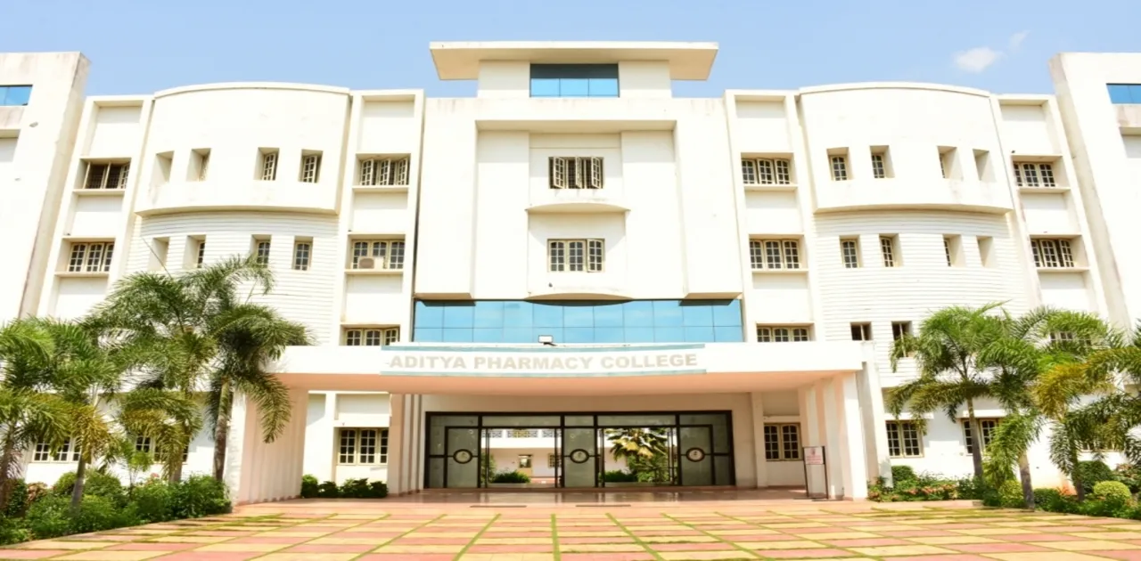 gallery 6