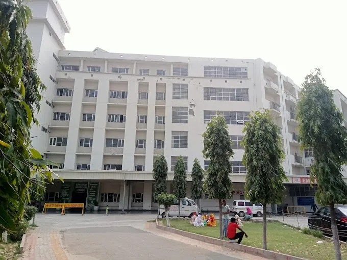 Gallery 5