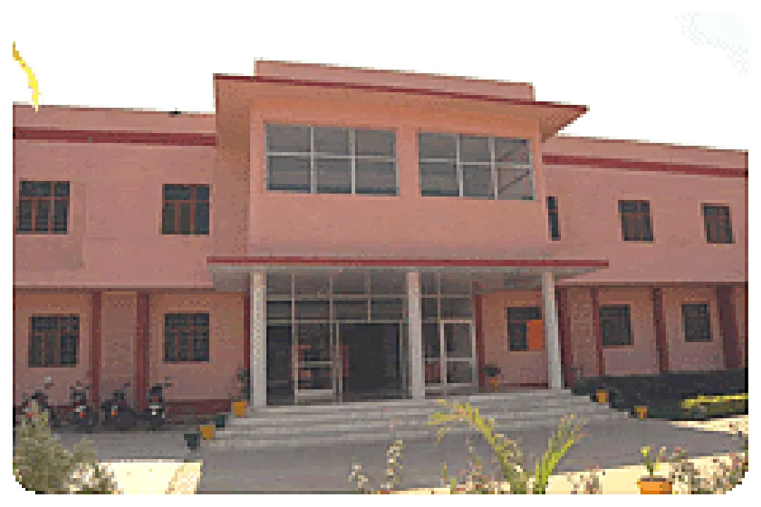 Gallery 4