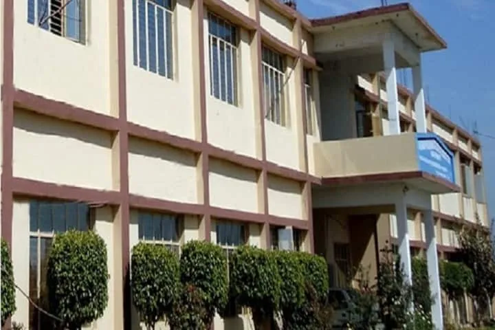 gallery 6