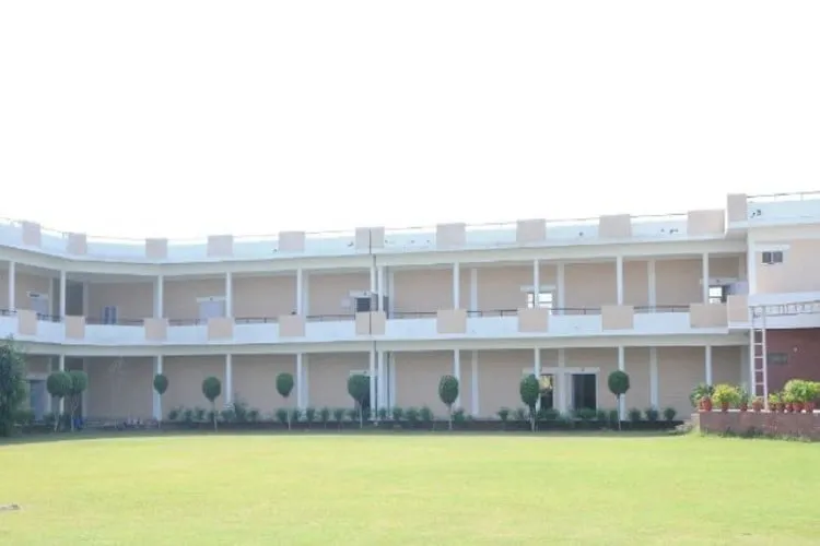 gallery 4