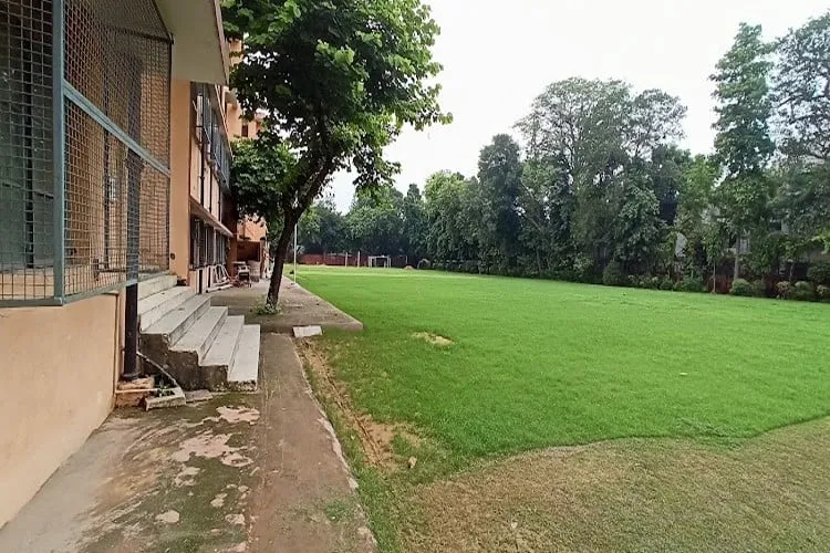 gallery 7