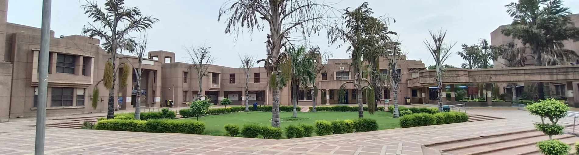 gallery 6