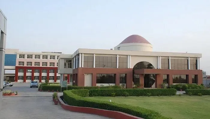 gallery 7