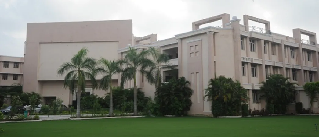 gallery 6