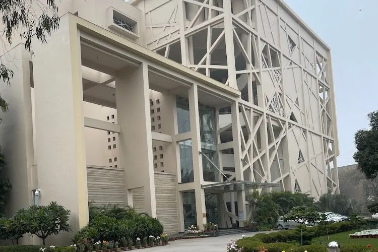 Gallery 4