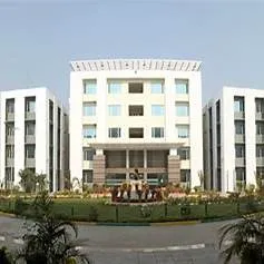 gallery 6