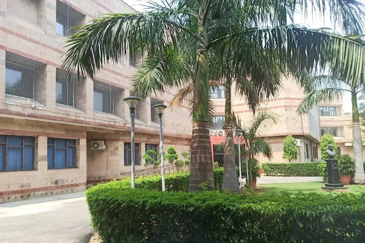 gallery 7