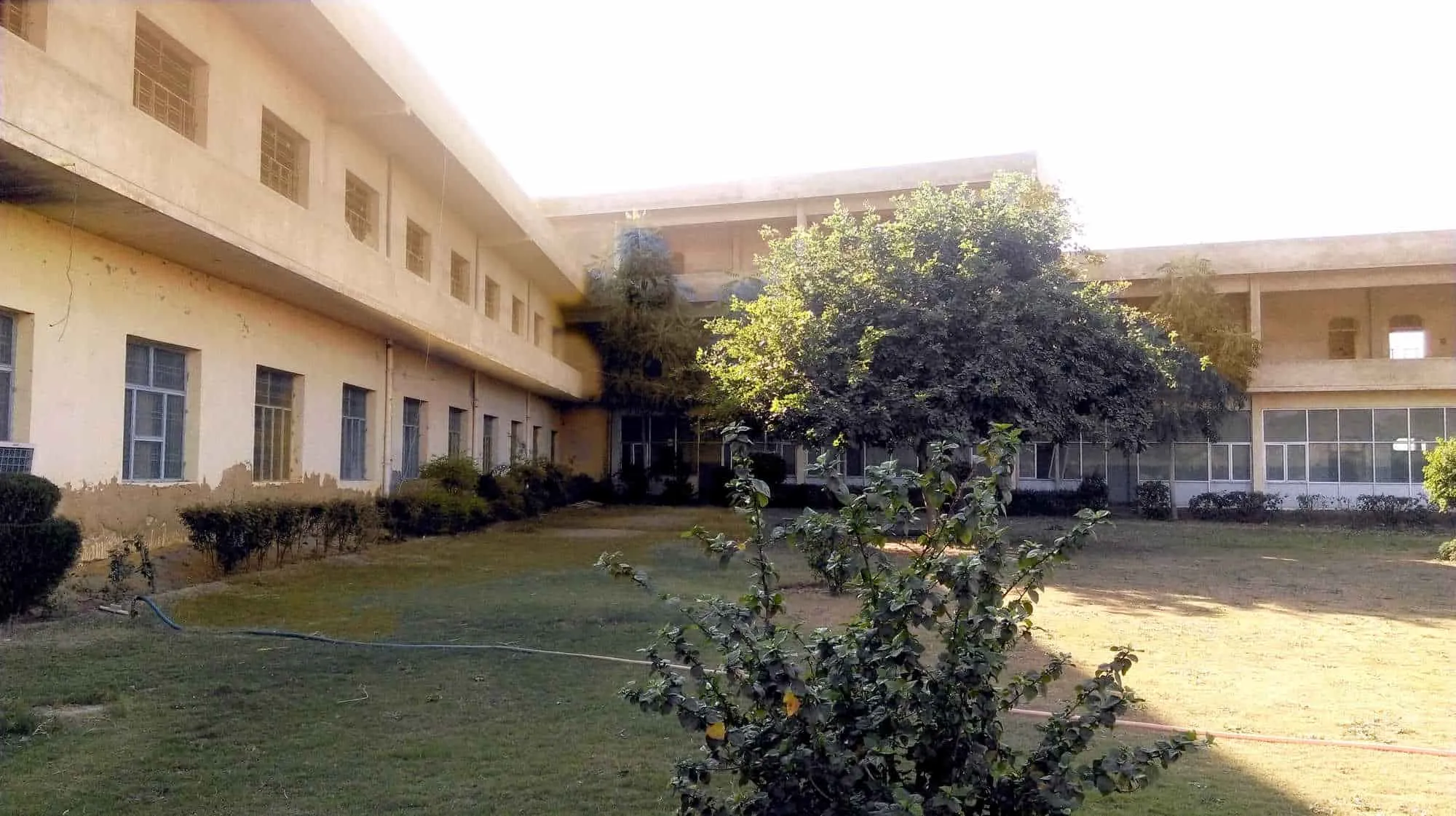 Gallery 4