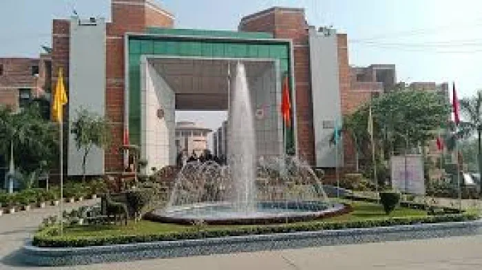 gallery 6
