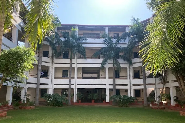 gallery 6