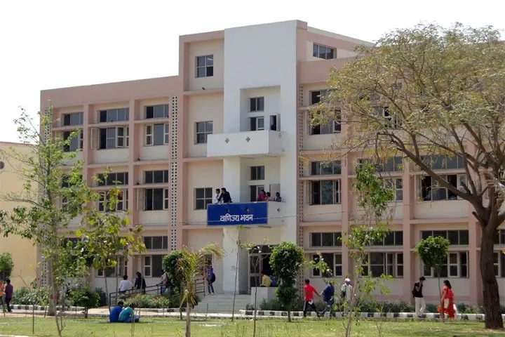 gallery 6