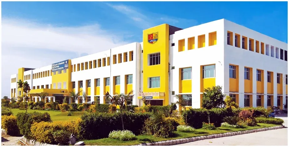 gallery 6