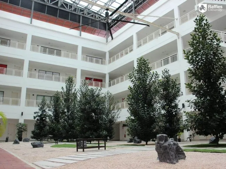 Gallery 4