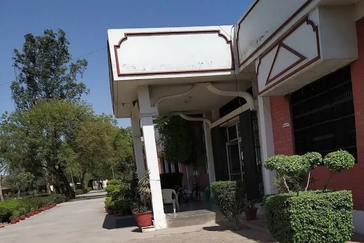 Gallery 5