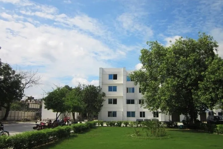 gallery 6