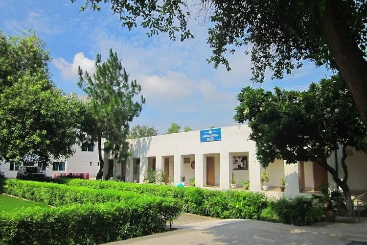 gallery 7