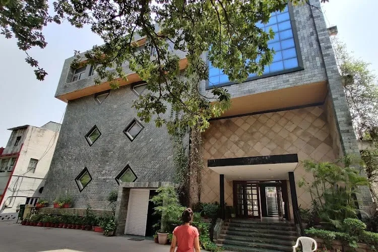 gallery 6