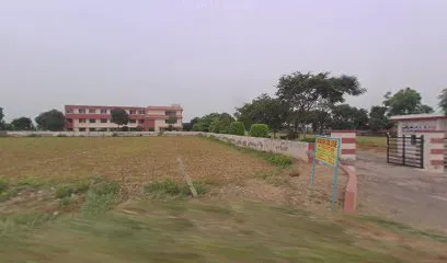 gallery 6