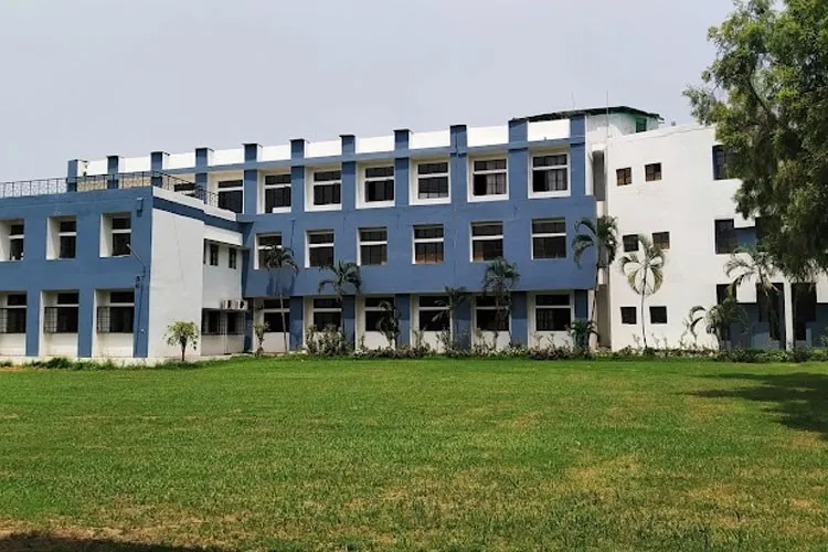 gallery 7