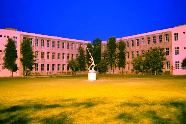 gallery 5