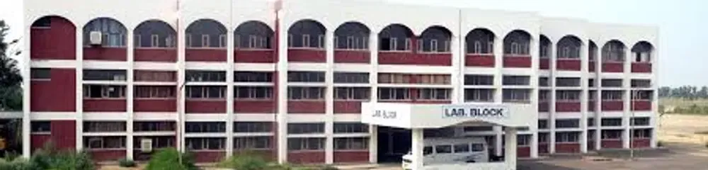gallery 11