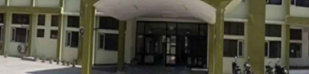 gallery 6