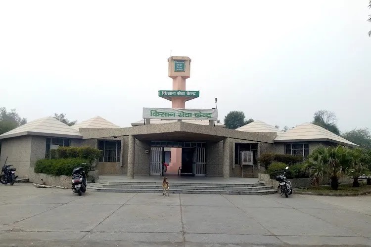 gallery 7