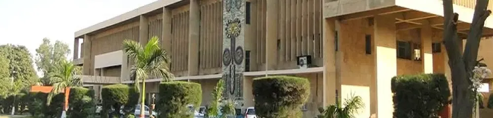 gallery 11