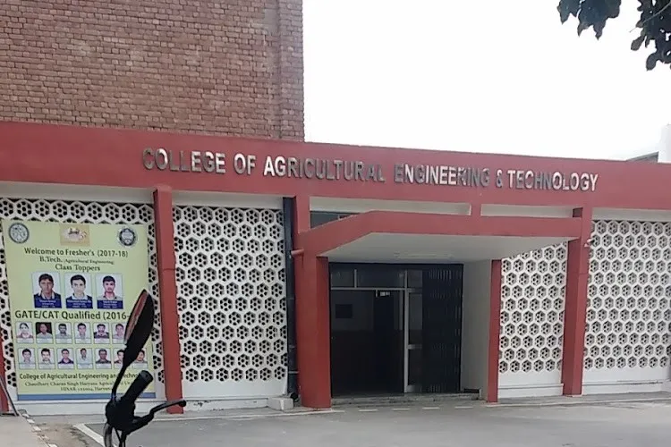 Gallery 5