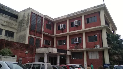 gallery 10