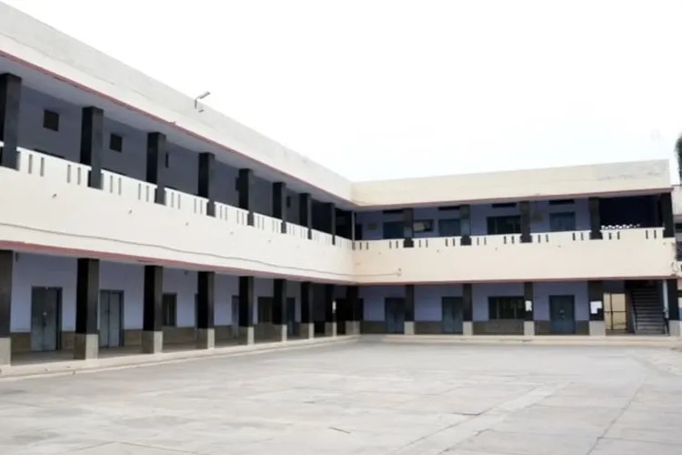 gallery 6