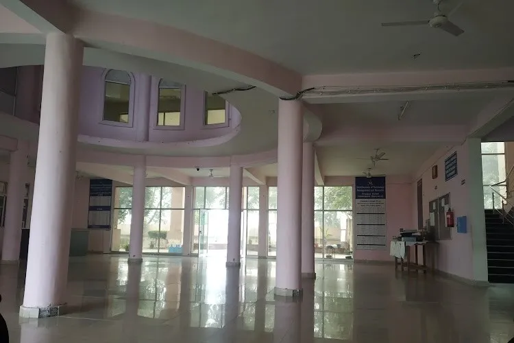Gallery 5