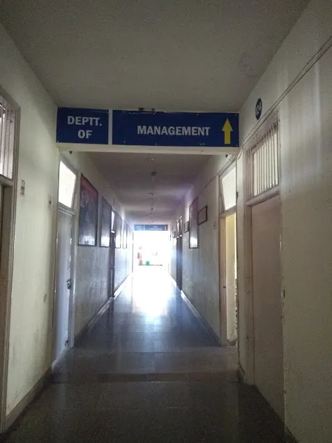 gallery 6