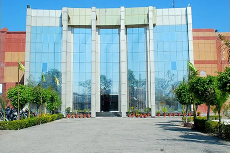 gallery 6