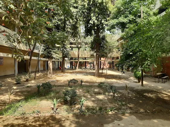 Gallery 5