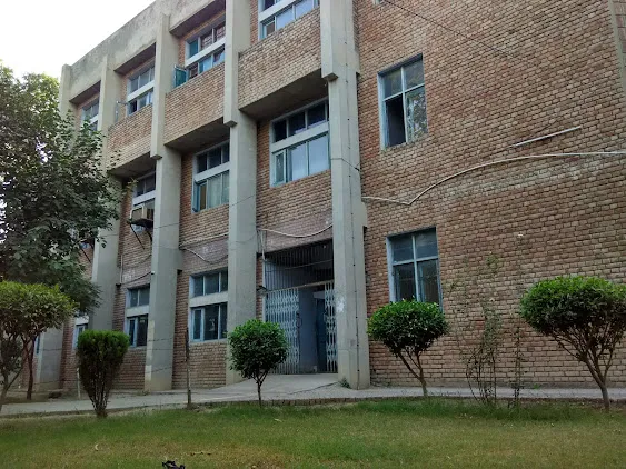 gallery 6