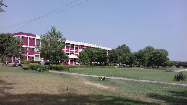 gallery 6