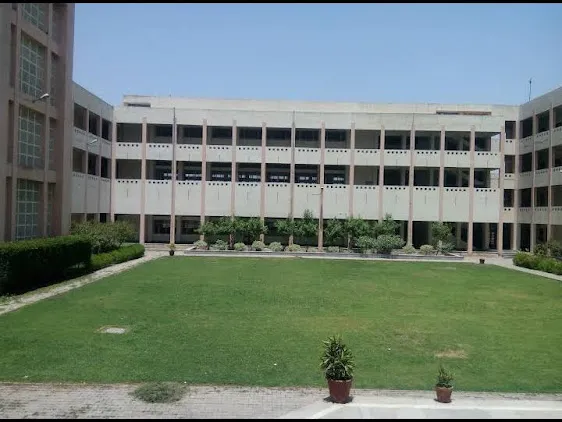 gallery 6