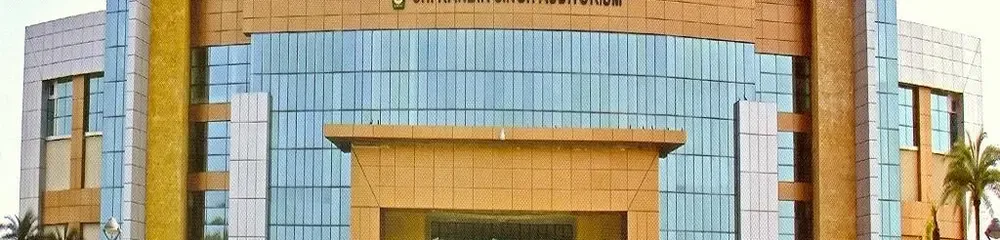 gallery 11