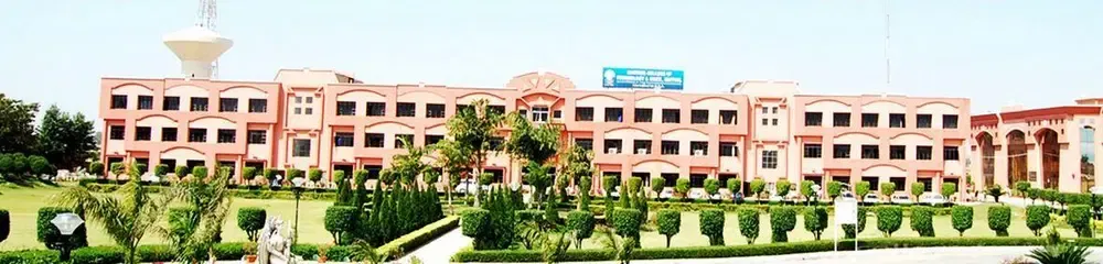 Gallery 4