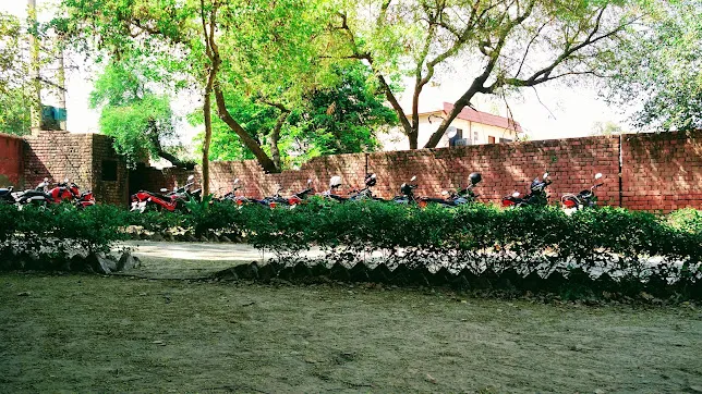gallery 5