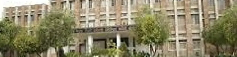 gallery 5