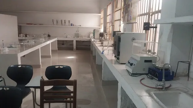 Gallery 5