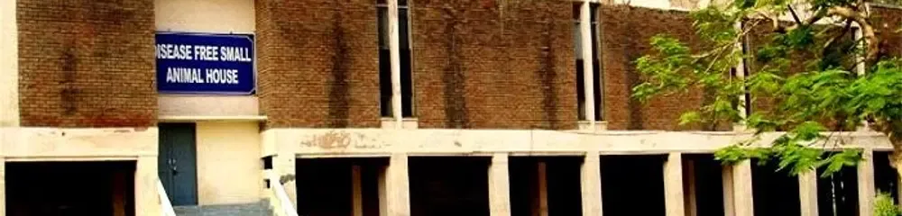 gallery 11