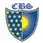 CBS Group of Institutions
