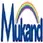 Jai Parkash Mukand Lal Innovative Engineering & Technology Institute